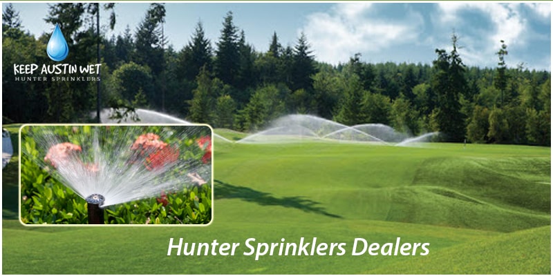 Types of Sprinklers 