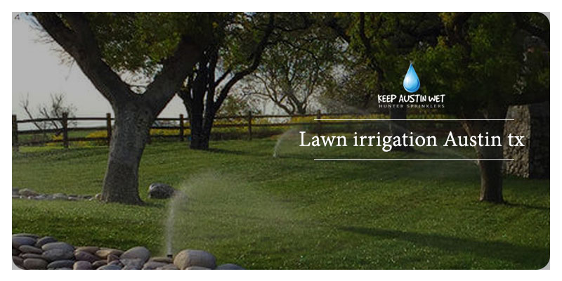 Lawn sprinklers or Drip irrigation: What should you choose
