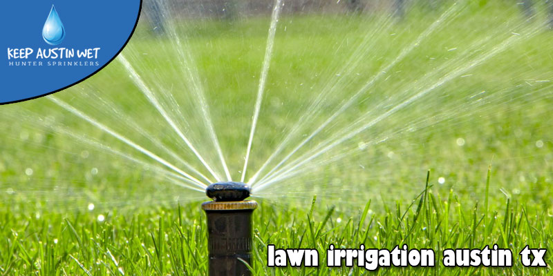 7 Question You Need to Ask When Getting a New Sprinkler Installed