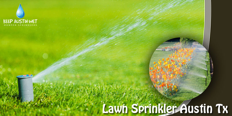 Lawn sprinkler FAQs – Know What’s Important