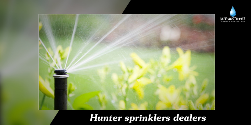 Are sprinklers best for watering grass lawns?