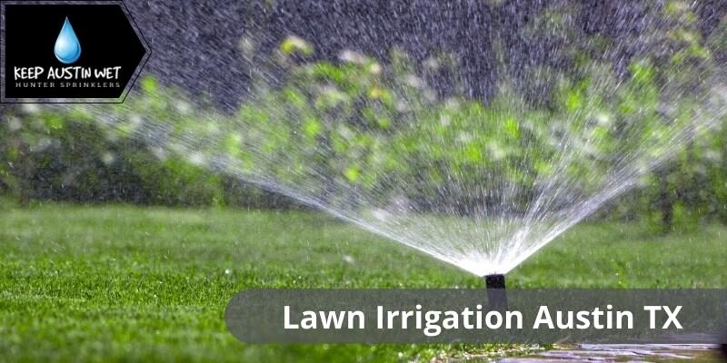 Lawn Irrigation – Why Early Morning Watering Is the Best
