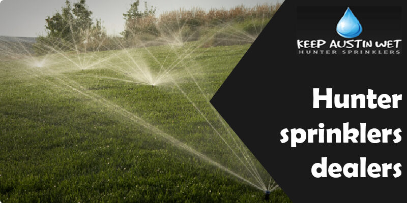 How to Protect Hunter Sprinklers Heads?