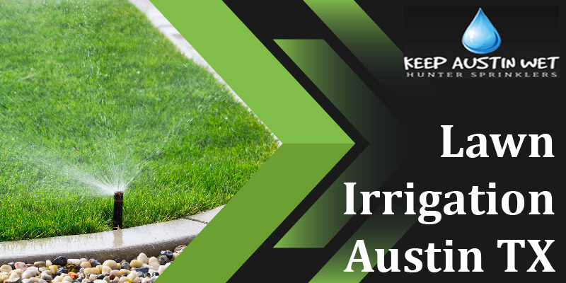 Save on Lawn Irrigation - Best Types of Grasses for Lawns