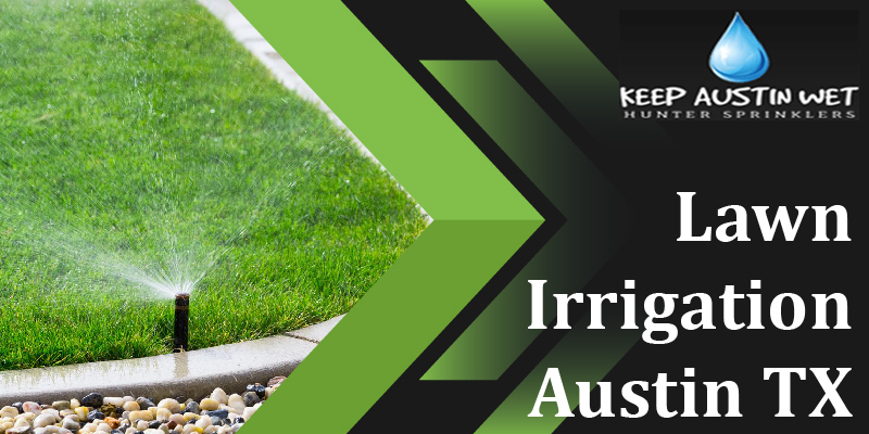 Save on Lawn Irrigation – Best Types of Grasses for Lawns