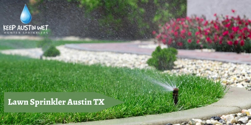 Need A Greener Lawn? Here’s The Best Time To Water The Lawn Grass