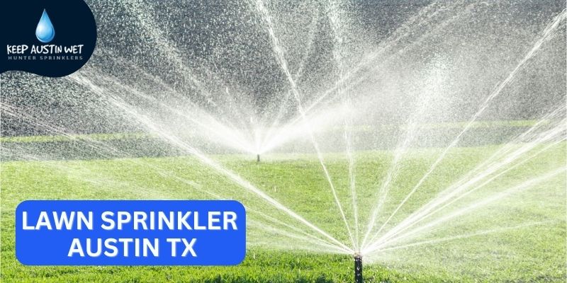 Why Investing in a Rain Sensor for Your Lawn Sprinkler System is Worth It